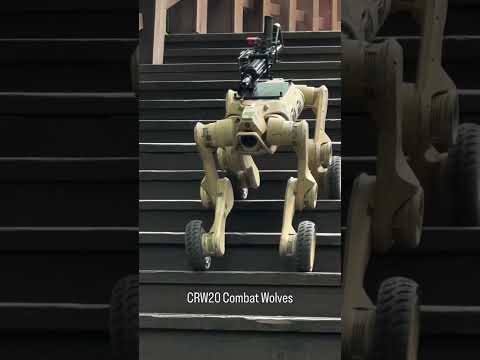 Robot dogs are not a good idea #robots #ai #dogs