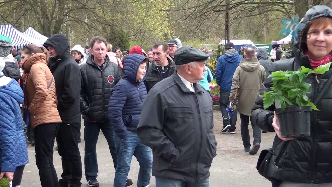 Małe Minikowo na Krajnie - III Powiatowe Targi Ogrodniczo-Rolnicze w Sypniewie, 23.04.2017 r.