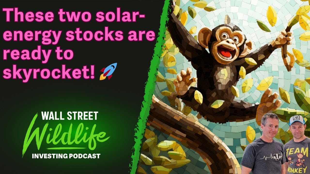 E62: These Two Solar Energy Stocks Are Ready To Skyrocket $ENPH $EOSE $QUBT $NU