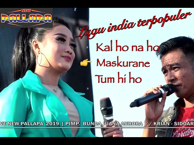 New Pallapa - Kal Ho Na Ho. Lagu lagu India ter Populer Versi Dangdut Koplo class=