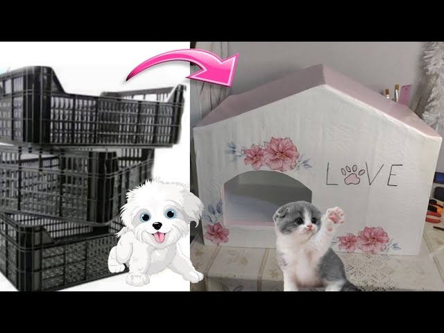 CASA PARA MASCOTAS🐶🐱QUE HACER con CAJAS DE FRUTAS🍇 DE PLÁSTICO 