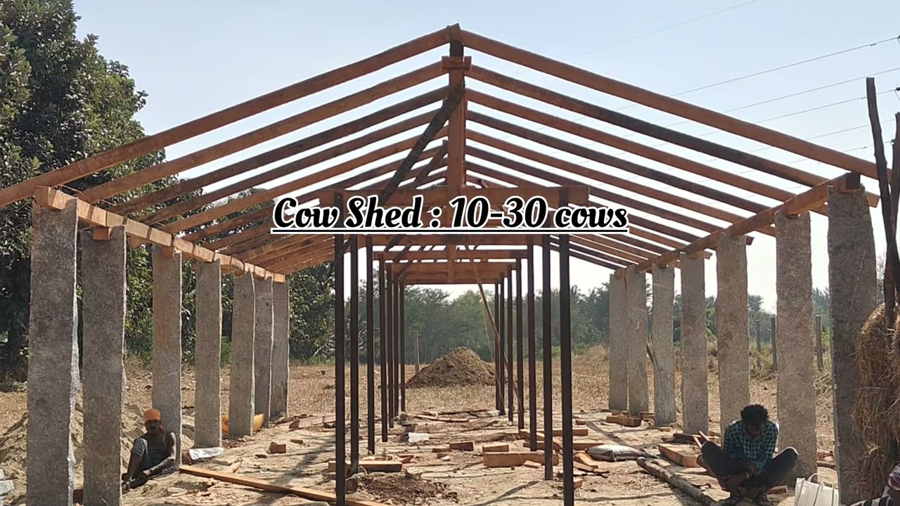 Self Sustainable Cow shed for 10-30 cows 🏡🐄10-30 ಹಸುಗಳಿಗೆ ಸರಳ ಮತ್ತು ಅಗ್ಗದ ಹಸುವಿನ ಕೊಟ್ಟಿಗೆ