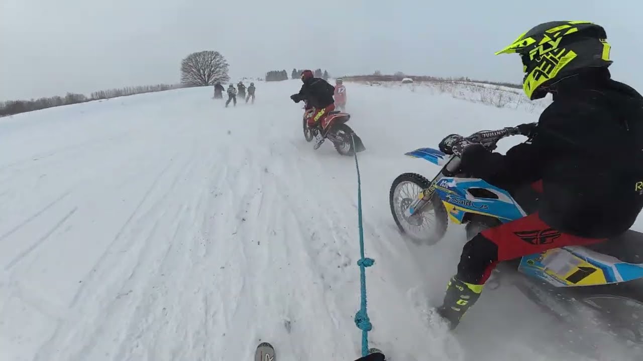 Skijorings Saldus/  Māris Biruls & Francis Gusts / 01/11/2026