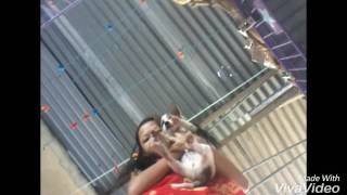 Trick Dog Hus - I Love You