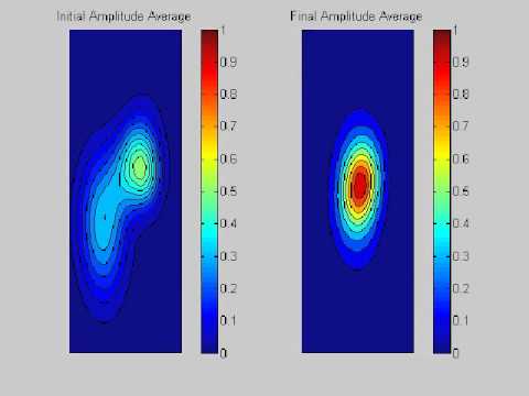 Field Coalescence