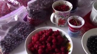 Летний ВЛОГ: подарки сыну, ягоды на зиму, коты. Летний ВЛОГ: подарки сыну, ягоды на зиму, коты.