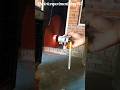 ⚡ DC Motor Se Powerful Wind Turbine Bana Diya 😱 | Free Energy DIY Experiment # tech #shorts