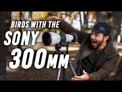 Bird Photography with the Sony FE 300mm f/2.8 GM OSS | Outdoors with B&H