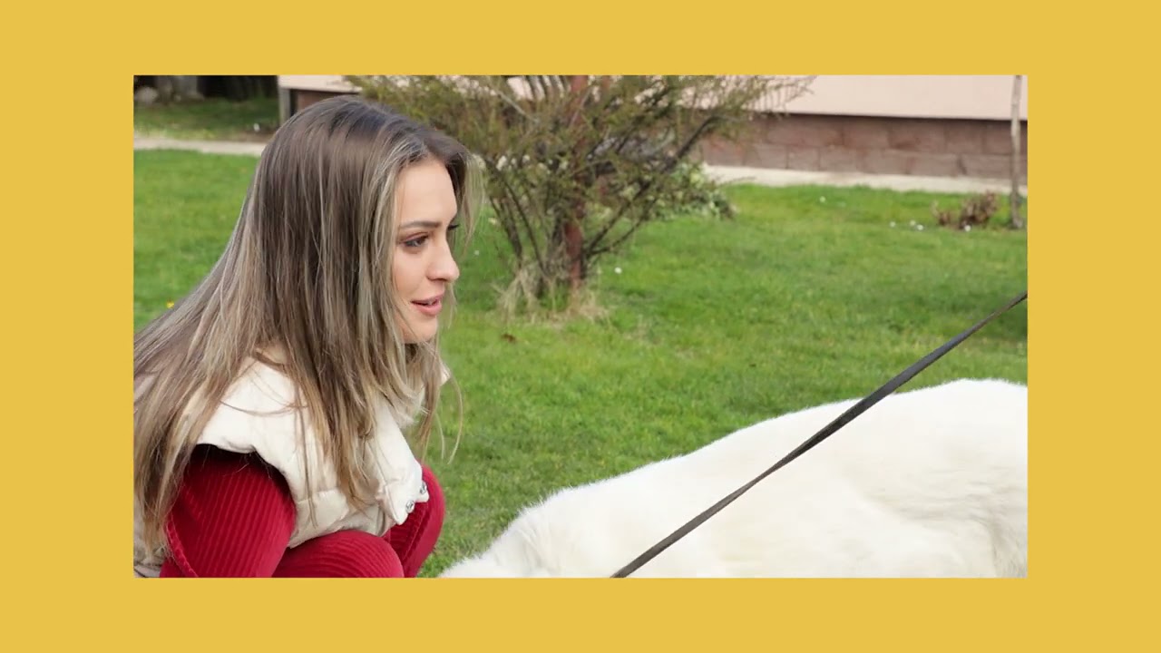 Moj savršeni ljubimac ep. 93 29.03.2021. Švajcarski ovčar