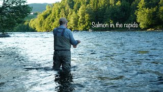 First Salmon of the Year | Fly fishing in the North, part 1 (Eng.sub)