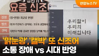 '맑눈광','캘박' 또 신조어…소통 장애 vs 시대 반영 / 연합뉴스TV (YonhapnewsTV)