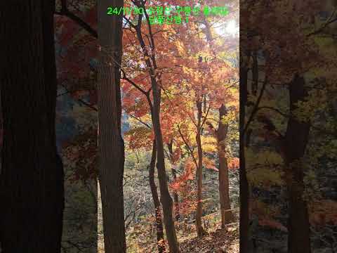 241130 수정산 구봉산 둘레길 단풍산행 1