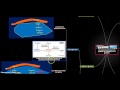 Les organes effecteurs de la rgulation de la glycmie