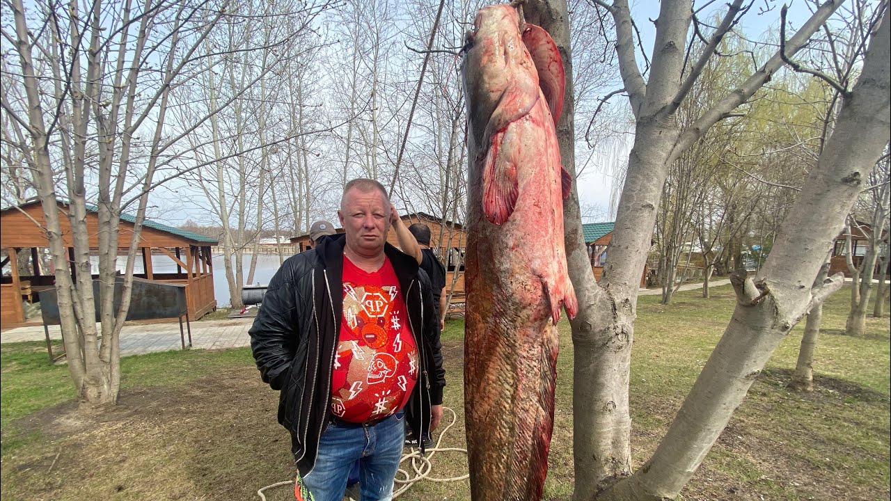 ГРОМАДНАЯ РЫБА ! Уха из сома НА КОСТРЕ В ОГРОМНОМ КАЗАНЕ  рецепт