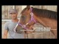 תראפיה באמצעות סוסים מהות החיים תראפיה באמצעות סוסים מהות החיים