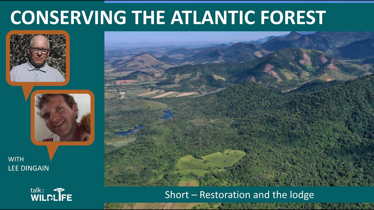 talk: Conserving the Atlantic Rainforest - Restoration and the Lodge