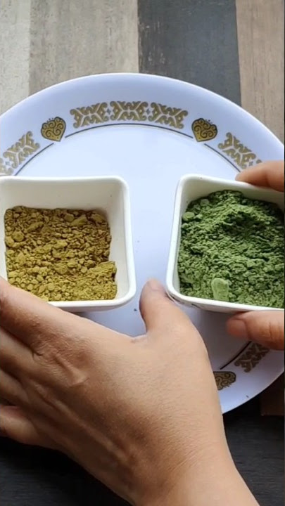 1 Step process for Henna and Indigo || हीना और इंडिगो को एक साथ अपने बालों मे लगाए #hennaindigo