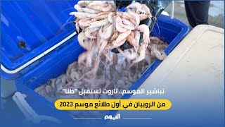 تباشير الموسم.. تاروت تستقبل 