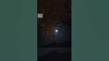سورة الحديد🌸القران الكريم
