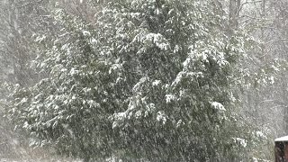 Spring Snow