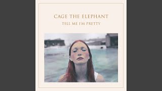 Video thumbnail of "Cage The Elephant - Mess Around"