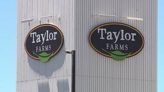 FDA still investigating Taylor Farms after false positive test for cyclospora outbreak