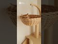 Corner Cat Tree ACTUALLY Saves Space?! (Fan-Shaped Design) 🤯 #apartmentliving #ad
