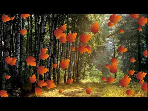 გია ყანჩელი - ქარი ქრის