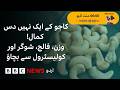 BBC READS: 10 health benefits of cashew nuts - BBC URDU