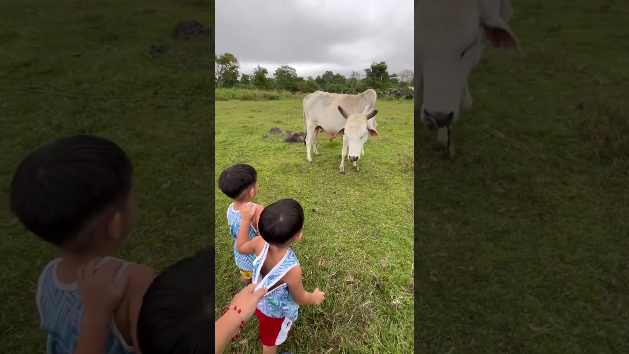First Kite Experienced for my boys🪁💓