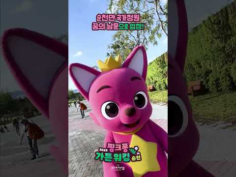 핑크퐁과 함께하는 [핑크퐁 가든 워킹 IN 순천] 🌳🥾 #shorts