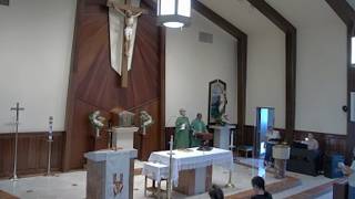14th SUNDAY IN ORDINARY TIME-11a