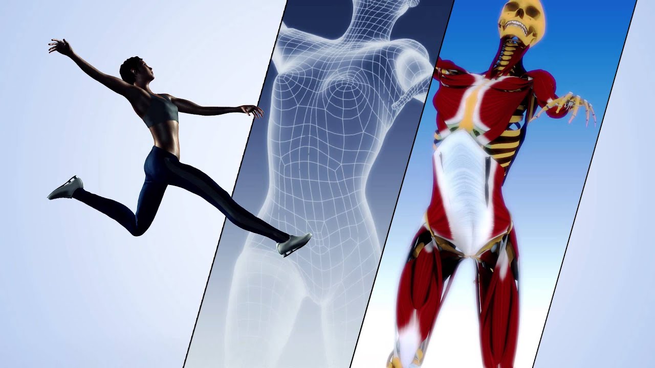 Anatomie en 3D à Lyon : Plongez dans le Corps Humain comme Jamais Avant