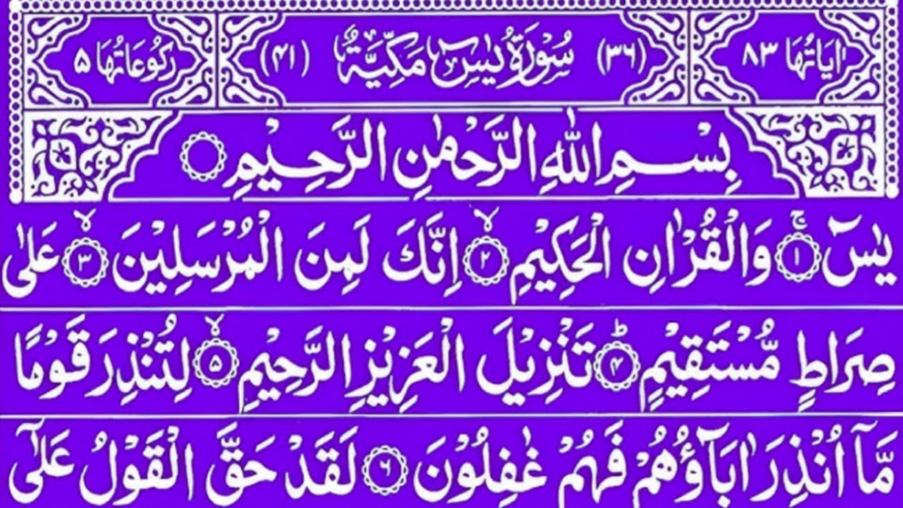 Surah Yaseen Sharif | Best Quran Recitation | Heart Touching Tilawat Ep 31 