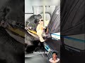 Dog’s Adorable Love for Babies! 🐶❤️👶 #Shorts #pets #dog #love #puppy