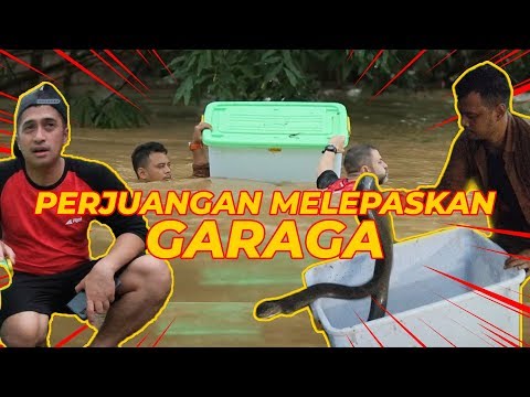 MONSTER KING COBRA GARAGA DITAKLUKAN TARZAN AMERIKA‼️