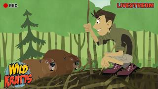 Wild Kratts SEASON 1 FULL EPISODE MARATHON 🦒