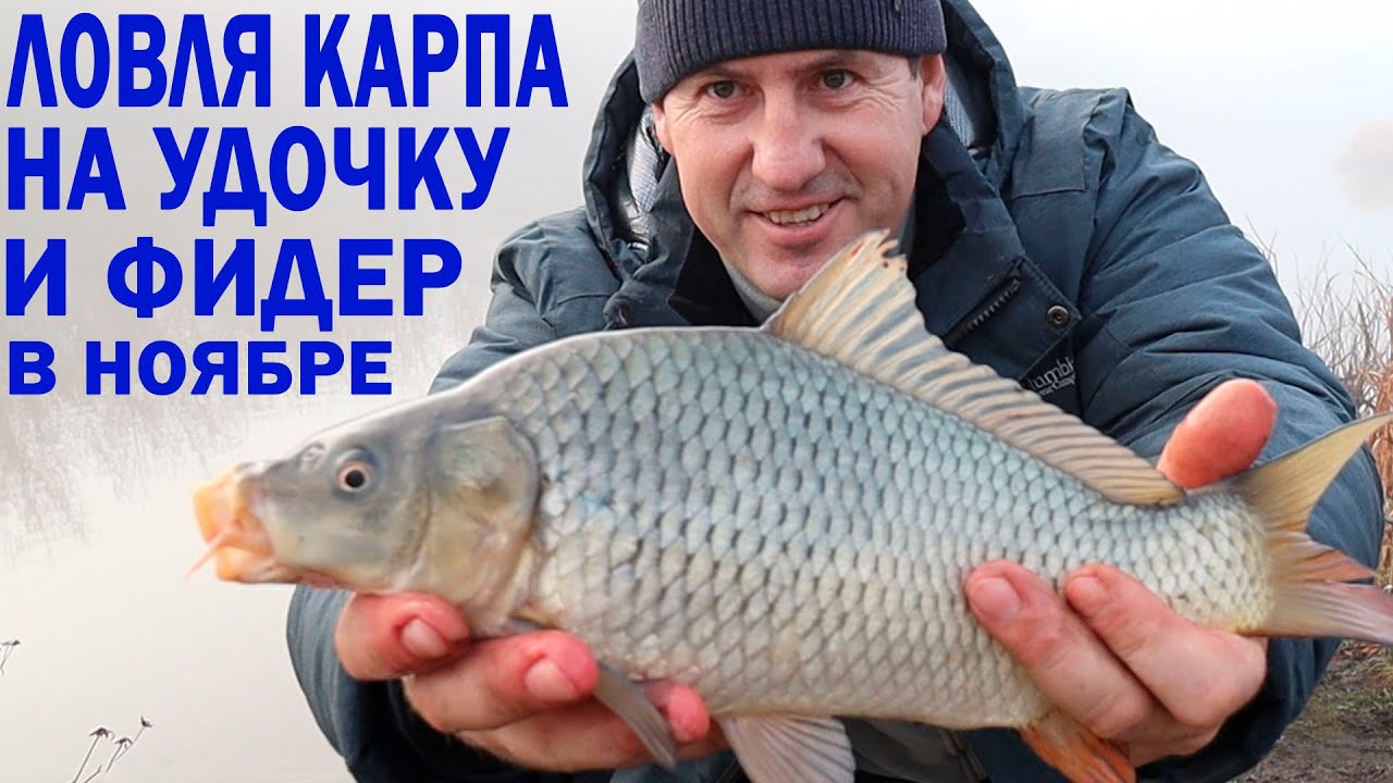 Ловля карпа на пружину - самый результативны способ Секреты Рыболова Дзен