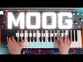 Moog Subsequent 37 Sound Demo (NO TALKING)