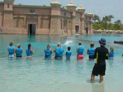 Dolphin Bay at Atlantis – Dubai – July 2009