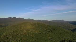 DJI 0323