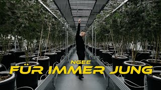 Ngee - Für Immer Jung