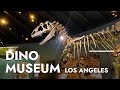 Raymond m alf museum of paleontology with kids  dinosaur fossils  claremont california