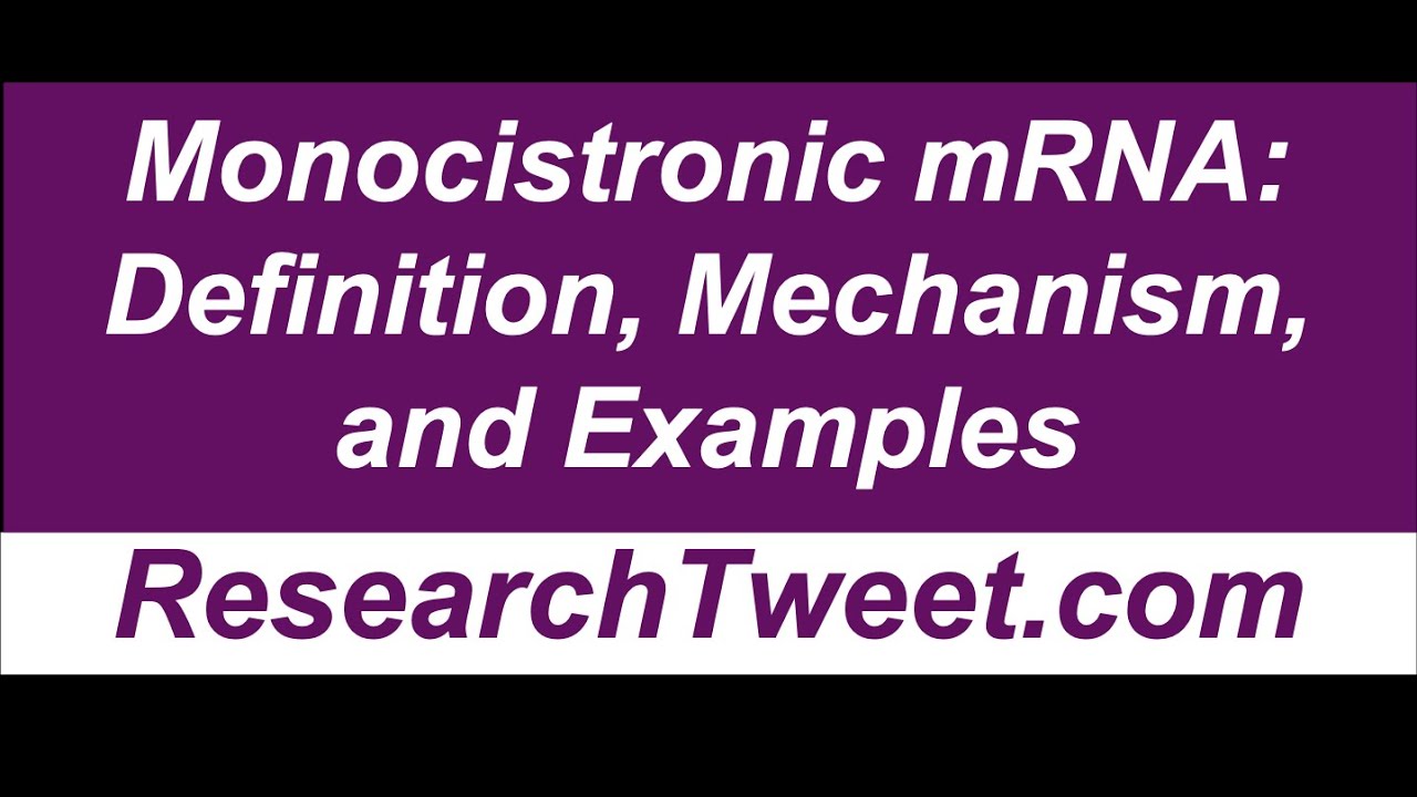 Monocistronic mRNA: Definition, Mechanism, and Examples
