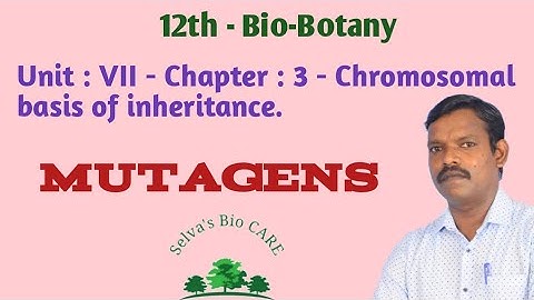 12th - Bio-Botany : unit - VII : Chapter - 3 : Chromosomal basis of inheritance.