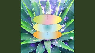 Simplistic Ambiance for Magic Rhythm