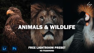 Free Wildlife & Animals Lightroom Mobile Preset Tutorial | DNG & XMP Free Download | Presetum screenshot 1