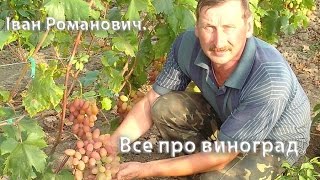 #ВСЕ ПРО ВИНОГРАД. Когут Іван Романович|Все про виноград.