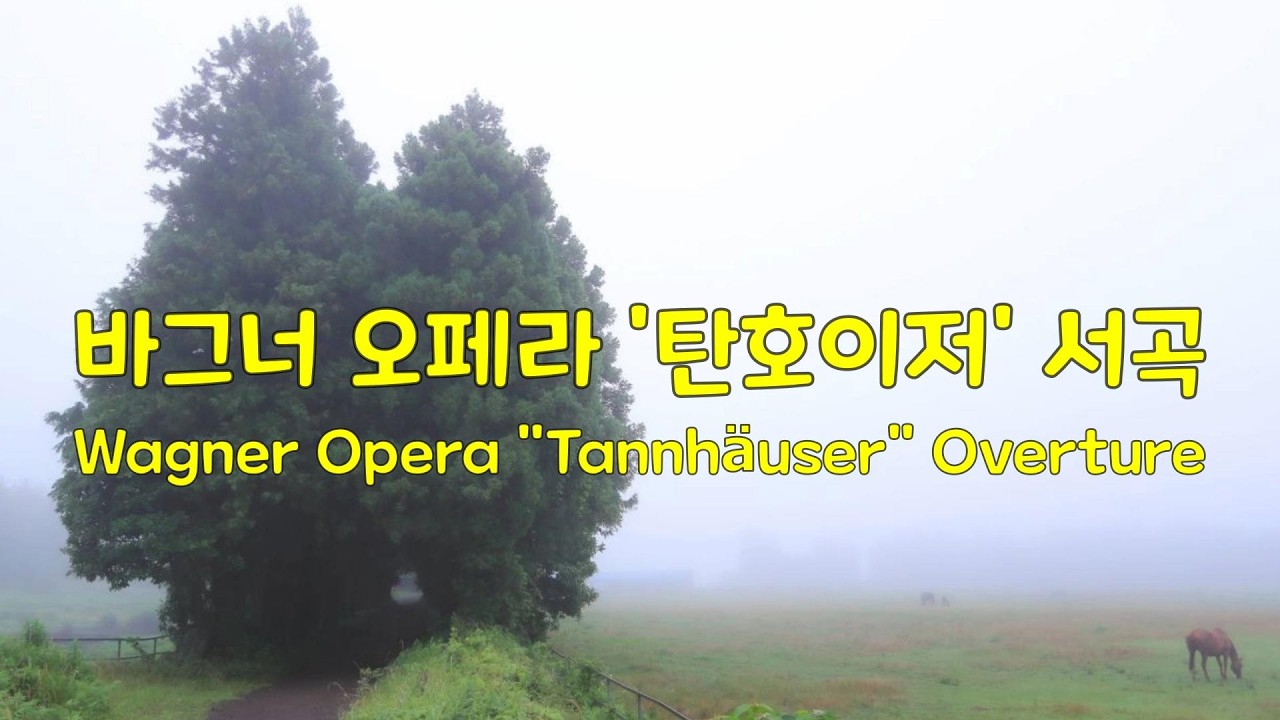 바그너 오페라 '탄호이저' 서곡 Wagner Opera Tannhäuser Overture #classical #클래식 #classic #wagner #opera #overture