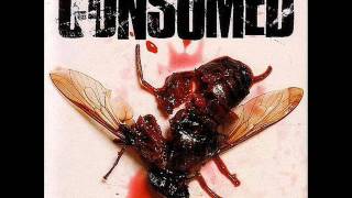 Video thumbnail of "Consumed - Sunny Side Up"